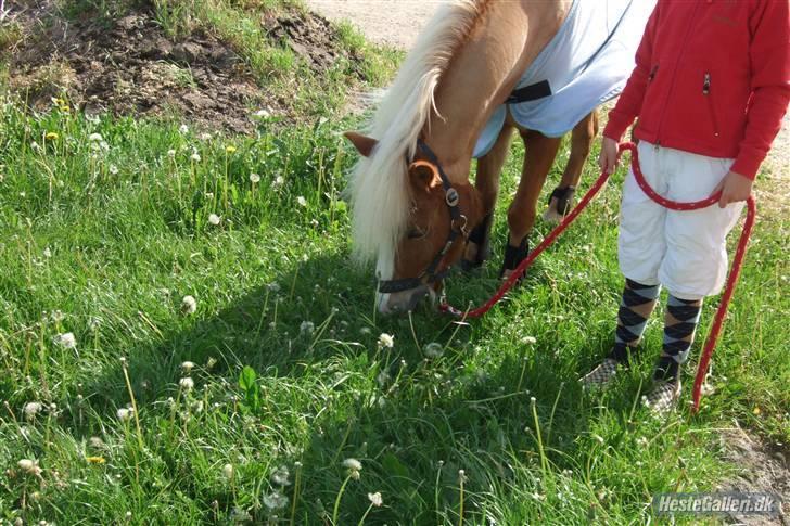 Anden særlig race » Miss Movie Star | SOLGT - Movie <´3 Græser<;33 billede 17