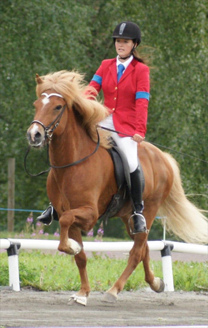 Islænder Abel fra Frederikshvile - Nordisk Mesterkskab 2010 i Finland. 6.73 i snit. (Foto: Sebastian Aagaard) billede 4