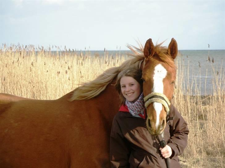Dansk Varmblod FamieGirlR.I.P :'( <3! - Vi er Bare Smukke . Hop´s :D billede 9