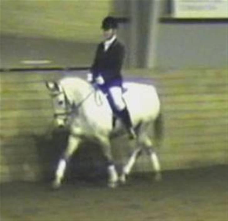 Anden særlig race Madeleine billede 6