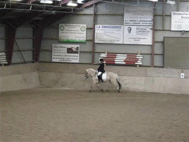 Fjordhest Højgaards Sandra *SOLGT* - Sandra og mig til vores første dressur stævne  <3 savner dig  billede 1