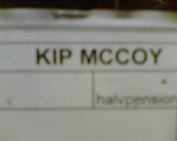 Dansk Varmblod Kip Mccoy  part  billede 4