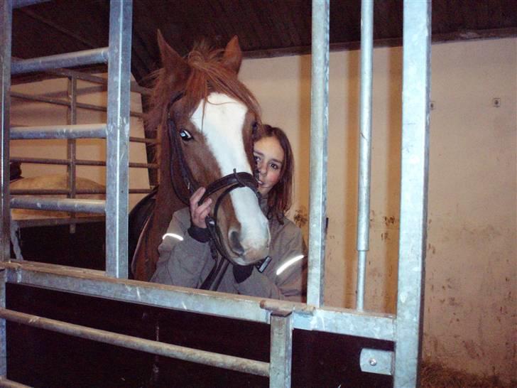 Tysk Sportspony Tanita  HHE´s - Dig og mig, <3 billede 9