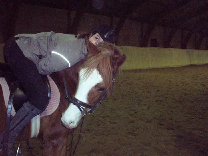 Tysk Sportspony Tanita  HHE´s - Du vil altid være i mit hjerte billede 12