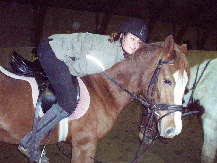 Tysk Sportspony Tanita  HHE´s - <3<3<3<<3<3 billede 13