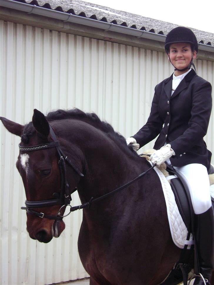 Connemara Marchesi Merlin - <33 billede 14