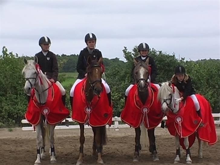 Irsk Sportspony Tullibards Gala Gold  - Distriktmesterskab for hold i 2005. Mit allerførste stævne på hende. billede 1