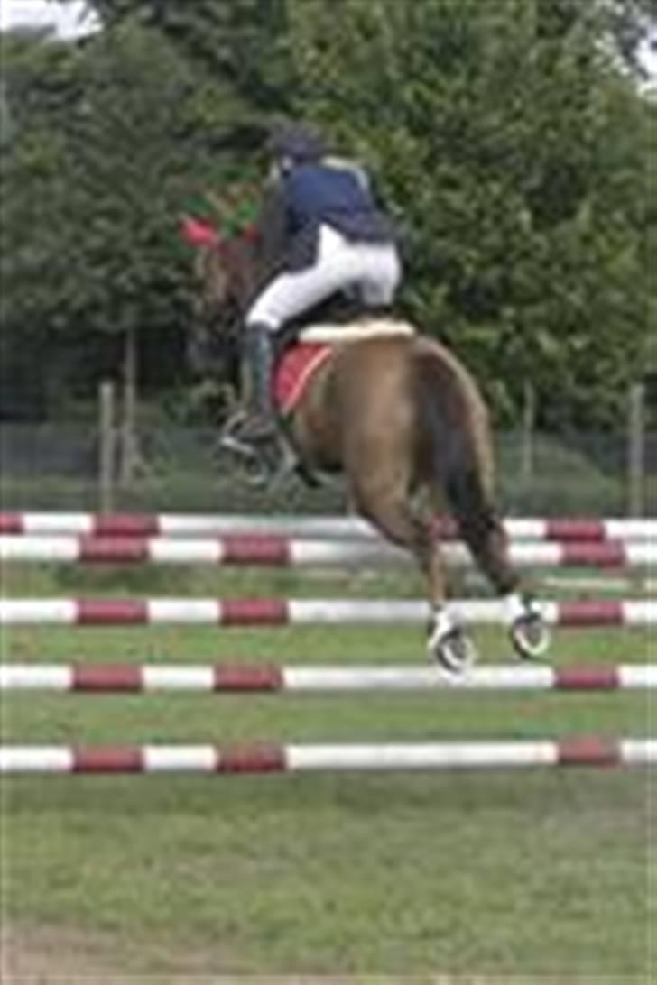 Irsk Sportspony Tullibards Gala Gold  - Tullibard og jeg rider vores første S-klasse til landsstævne i Boller rideklub billede 2