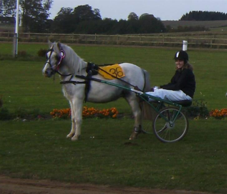 Anden særlig race Sir Bernstein - Vi vinder 1 førsteplads på S.P.T.. ;D <3 billede 8