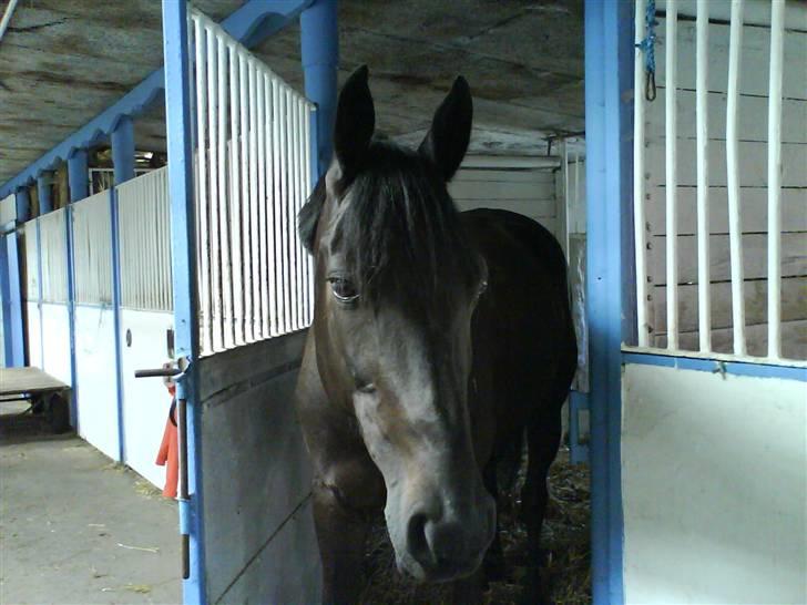 Traver Galaxen * SOLGT *  - nurhh hvor er jeg bare kær hva? så nu har jeg stået fint kom så og nuss mig :D billede 1