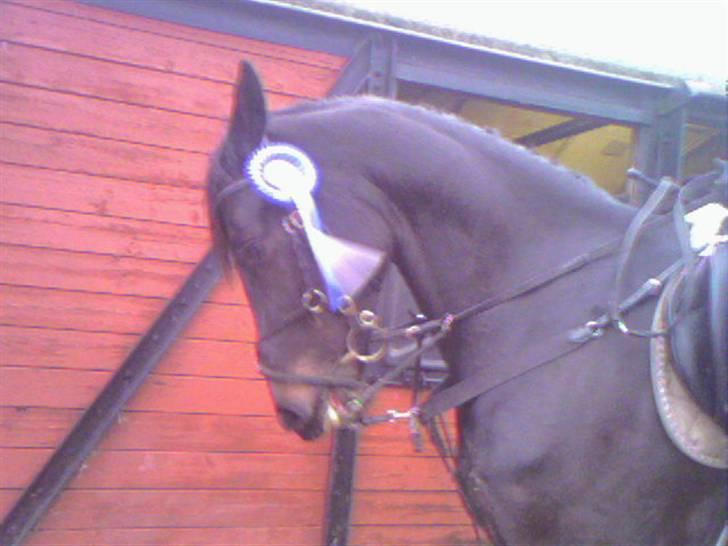 Traver Galaxen * SOLGT *  - arhh skal vi lige se om jeg ikke kan nå fortøjet nu hsr jeg jo været så god i en la billede 3