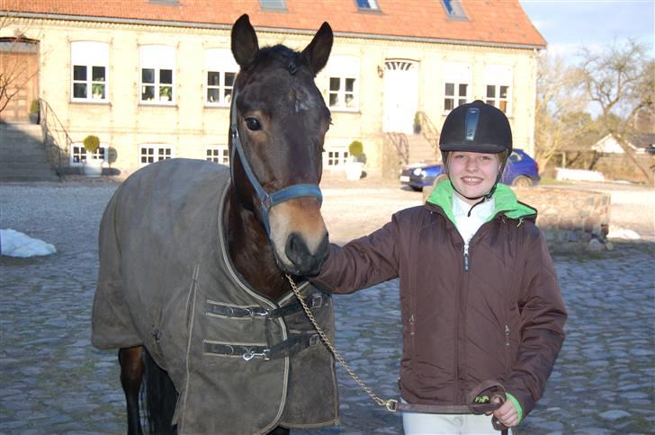 New Forest Romeo's Chicco - 1. Hej velkommen til Chiccos profil.... vi er lige kommet hjem fra stævne (Fæstemotograf:Daddy) billede 1