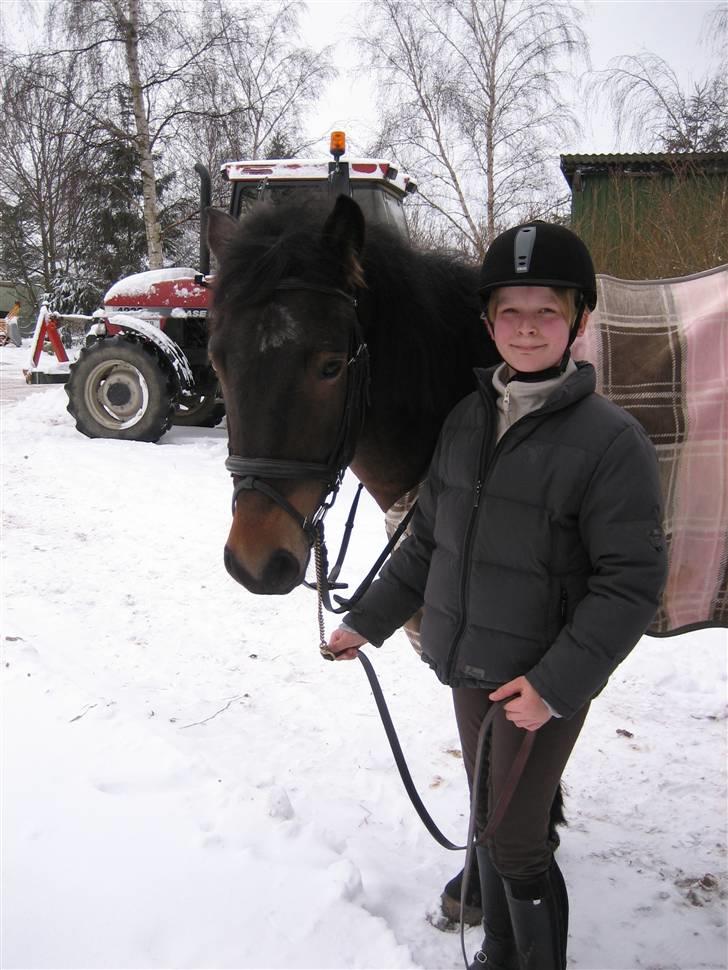 New Forest Romeo's Chicco - 8. Sød Chicco og utrolig grimme mig (Fæstemotograf:Daddy) billede 8