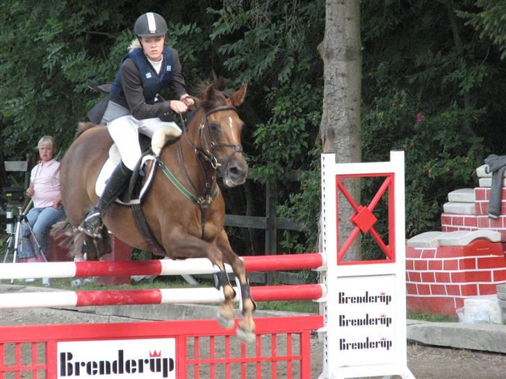 Irsk Sportspony Tullibards Gala Gold  - Distriktmesterskab individuelt, og vi vandt sørme! billede 6