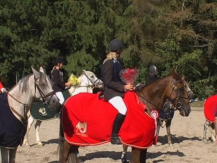 Irsk Sportspony Tullibards Gala Gold  - Her har vi vundet distriktmesterskab 2006 individuelt billede 8