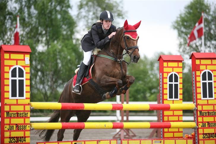 Irsk Sportspony Tullibards Gala Gold  - Landsstævne i kongelunden 2006, MB billede 9