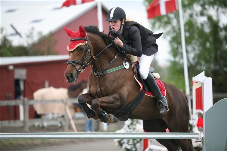 Irsk Sportspony Tullibards Gala Gold  - Landsstævne i kongelunden 2006 , MB billede 10