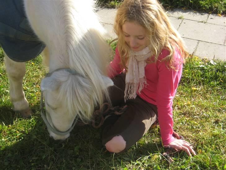 Shetlænder Onslow<3*død* - sidste gang med min pony :´(  troede jeg ! men s snakkede jeg med  claus og nu sakl jeg bare lige aftale en tid også må jeg godt passe ham der´ i gen :D er bare så lykkelige, jeg troede jo at det var slutningen på et venskab billede 15