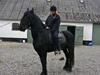 Frieser Oliver gamle Part