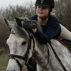 New Forest Odbjergs Isabell Udlånt