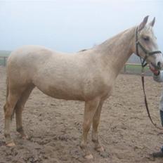 Frederiksborg Sassi Rødsten