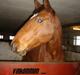 Oldenborg Isabella 