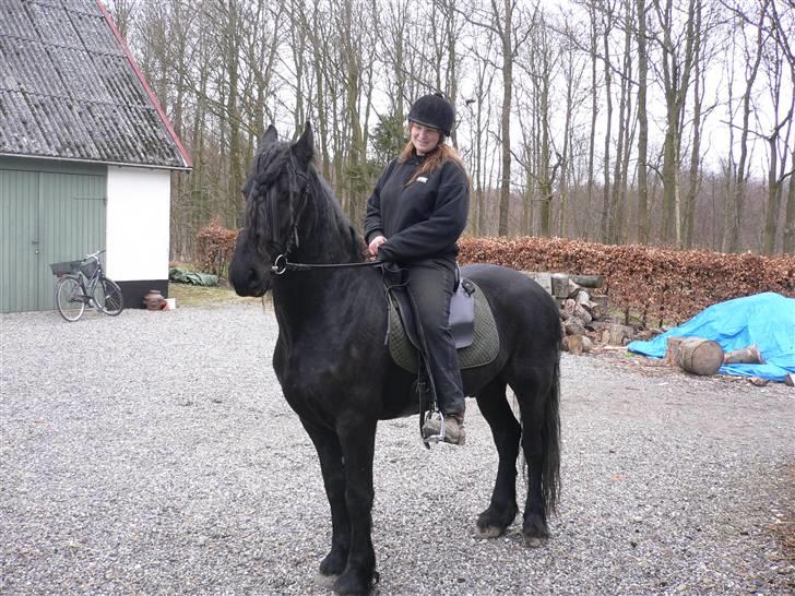 Frieser Oliver gamle Part billede 3