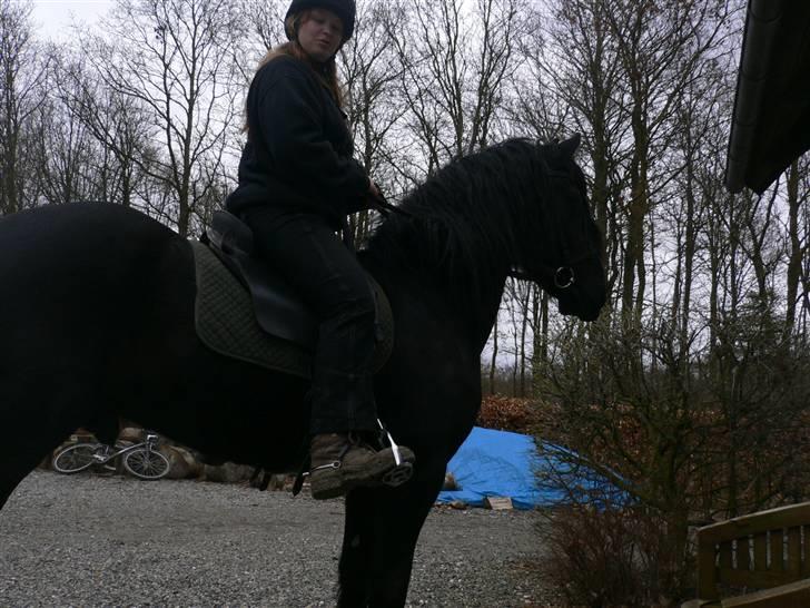 Frieser Oliver gamle Part billede 4