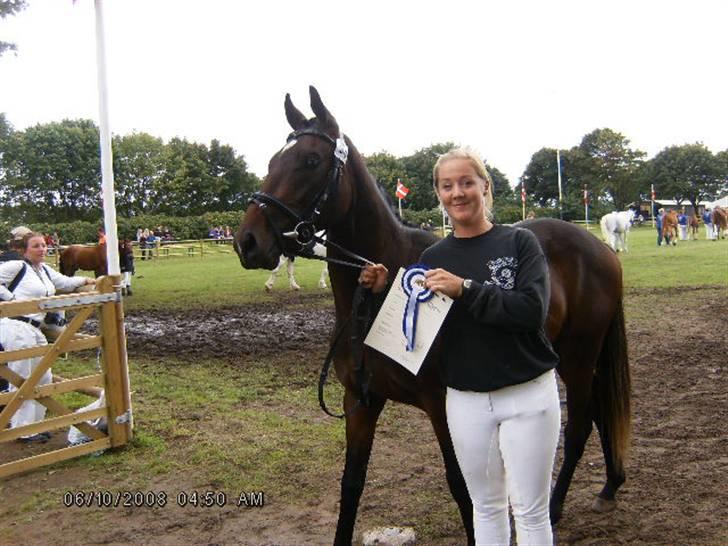 Fuldblod (XX) Lord De Luxe  *Passer* - Ann Og Luxe Lige fået deres rosset fra store hestedag 08 billede 19