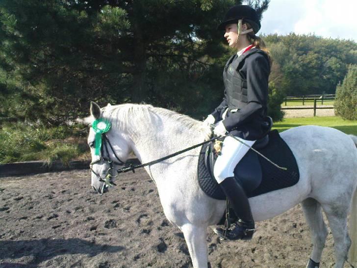 New Forest Amber - solgt :( - nr. 4 til klubmesterskabet på nsr (: hun var fantastisk !! <33 billede 7