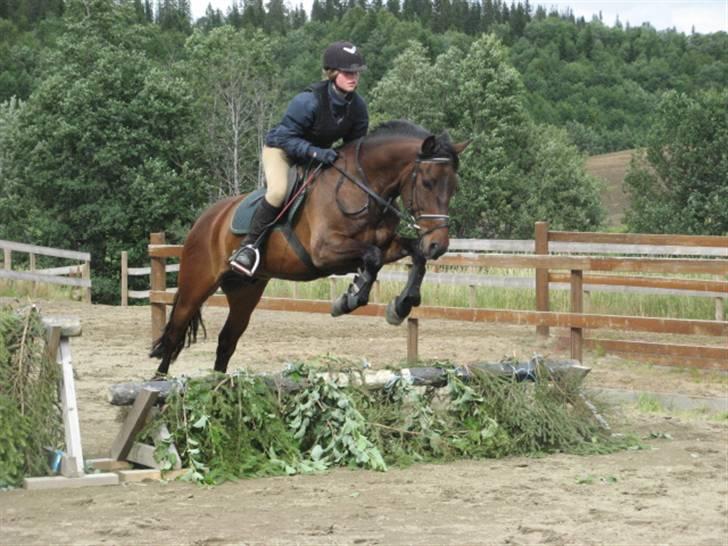 Norsk Sportspony Chianti - Feltritt er gøy på leir! : D billede 6