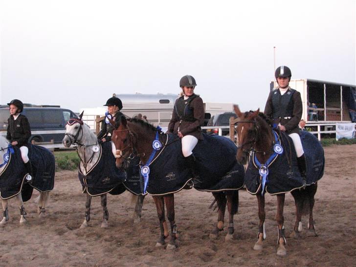 Irsk Sportspony Tullibards Gala Gold  - Her har i vundet sjællandsmesterskab for hold. Gudhjælpende om vi ikke også vandt for individuelt samme weekend! billede 11