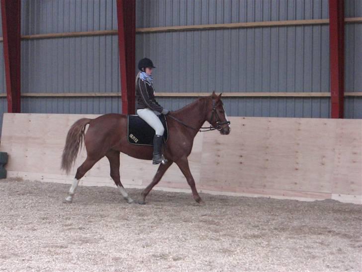 DSP Oliver - Solgt billede 19