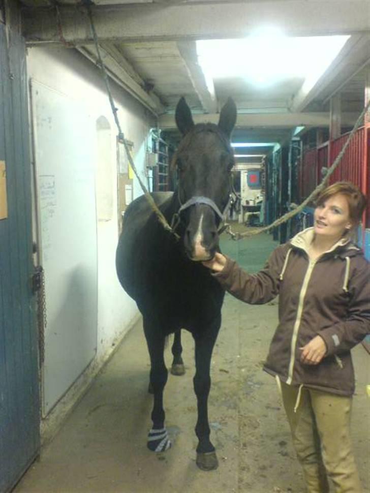 Anden særlig race Snip "Stoffer" Solgt - Lidt syg kan man vel godt være bare se min pæne fod. billede 4