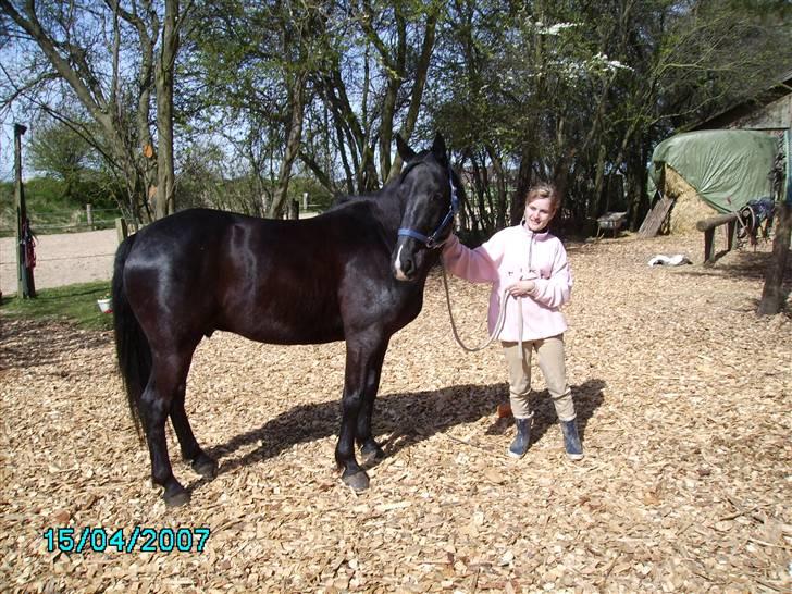 Anden særlig race Snip "Stoffer" Solgt - Et billede af os begge 2. billede 5