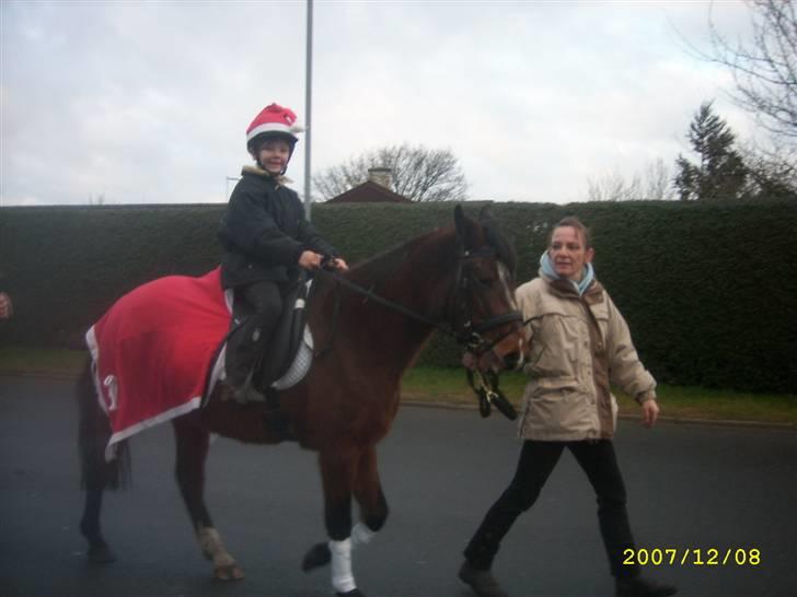 Hollandsk Sportspony Wendy, drømmeponyen - Juleoptog 2007 billede 11