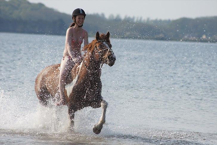 Pinto Polle - Stranden :D, Sommer 2011 billede 4