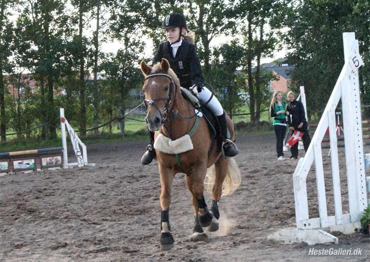 Anden særlig race Andrea <3 - Gl. Part :'/ - Nibe cup. billede 12