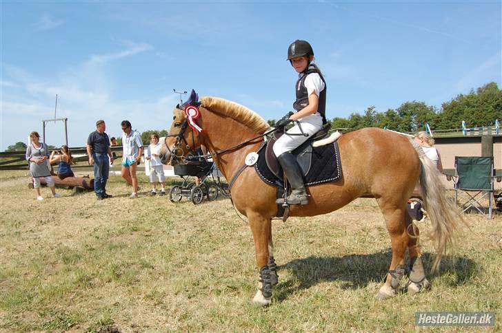 Anden særlig race Andrea <3 - Gl. Part :'/ - Lige efter vi har været på banen. ( VHRK) billede 14