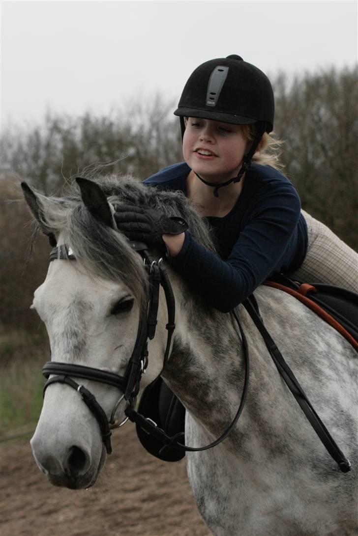 New Forest Odbjergs Isabell Udlånt billede 2