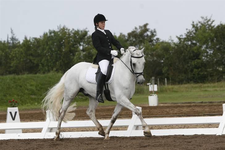 DSP Aaby's Kimba - R.I.P :'( - Fra DM 2007 :D -Versade :) - R.I.P. verdens bedste pony :´( <´33 billede 18