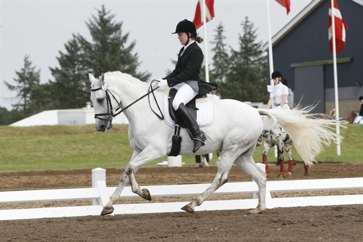 DSP Aaby's Kimba - R.I.P :'( - Fra DM 2007 :D Fri galop! :D - Du vil aldrig blive glemt! :´( billede 19