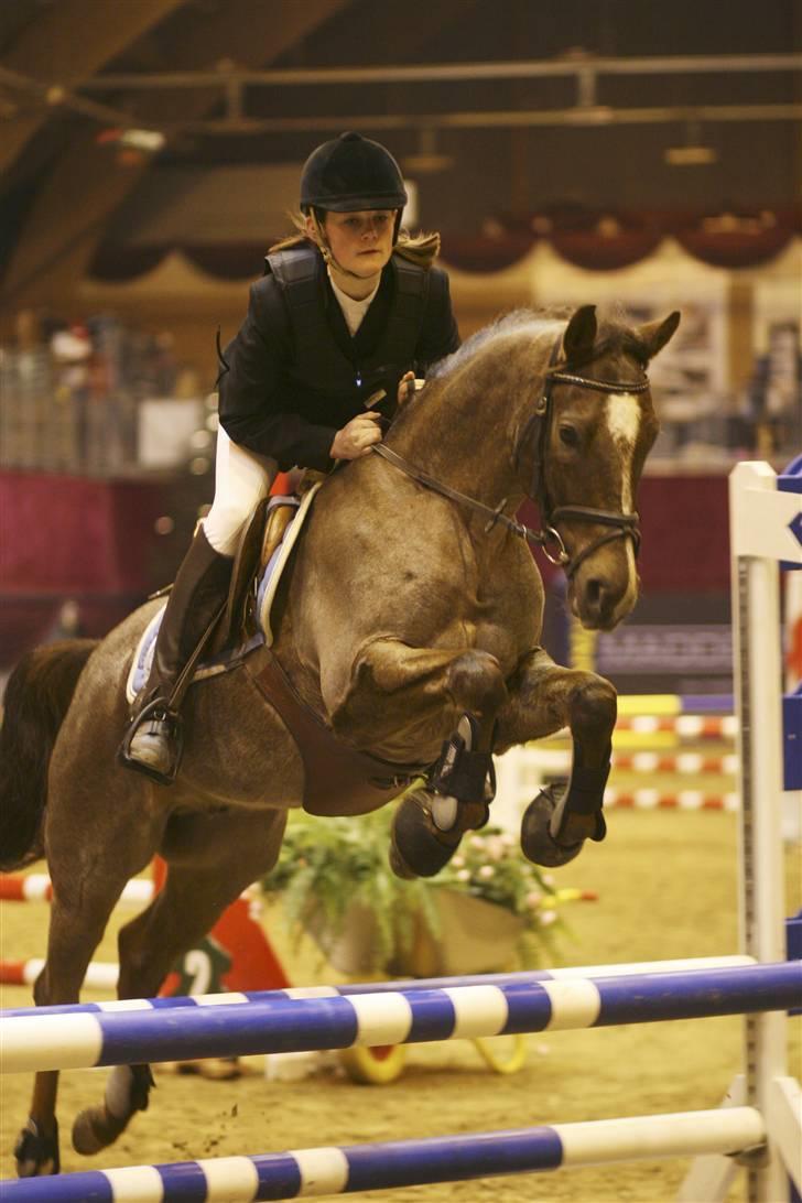 Hollandsk Sportspony Eppo S <3 SOLGT. R.I.P - Christmas show 2oo7 billede 17