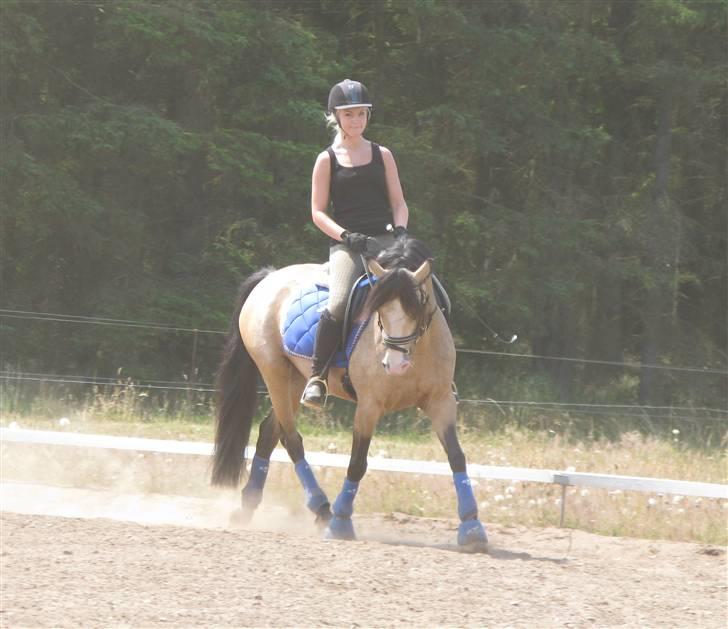 DSP "Golden Mulan"  - Mulan og Nadia træning 1. juli 2009 :) billede 19