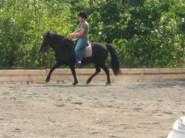 Islænder Blökk fra Højen - Troldhøjgård stævnet 07. LD/u galop. min mor der rider.    August 07 billede 18