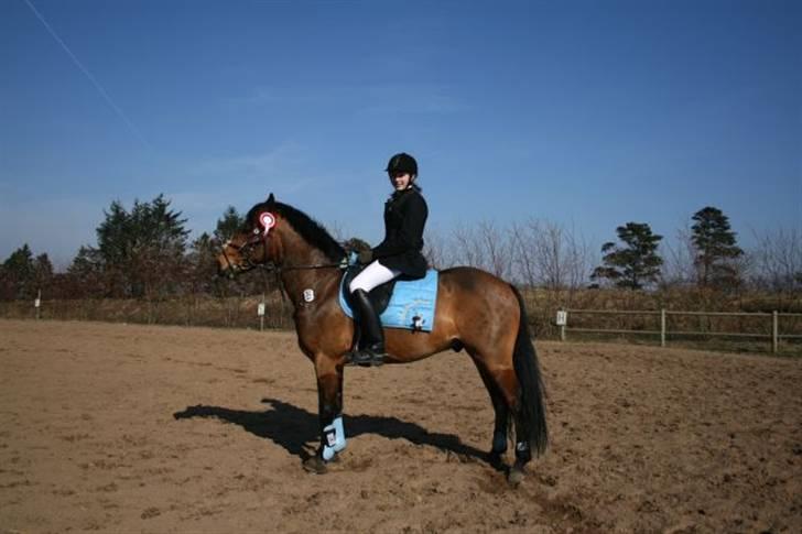 Connemara Enghøjs Sandy Touch-SAVNET - Vi vandt<3 billede 5