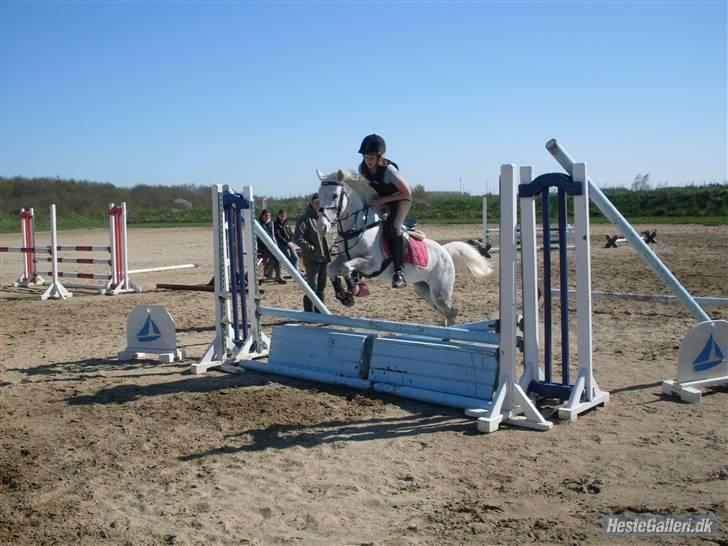 Anden særlig race G*Star SOLGT /': billede 3