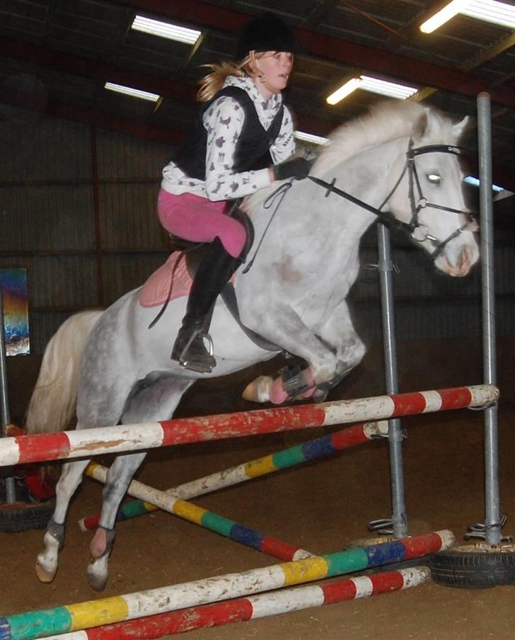 Anden særlig race G*Star SOLGT /': billede 4