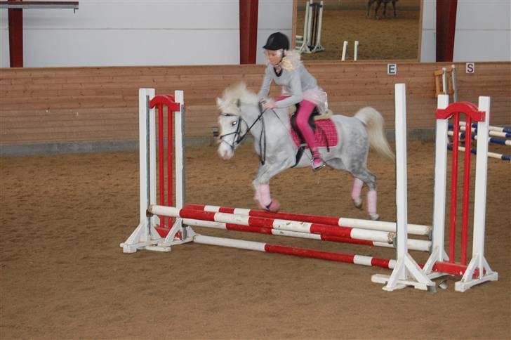 Anden særlig race G*Star SOLGT /': billede 6