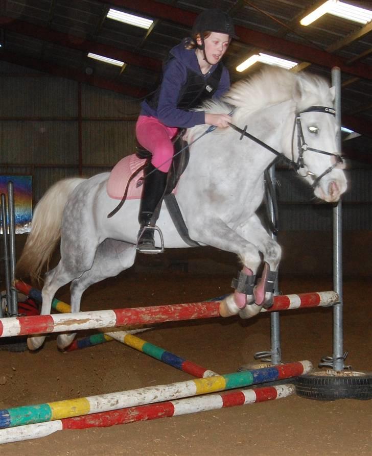 Anden særlig race G*Star SOLGT /': billede 7